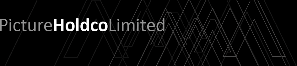 Picture Hold Co. Ltd.